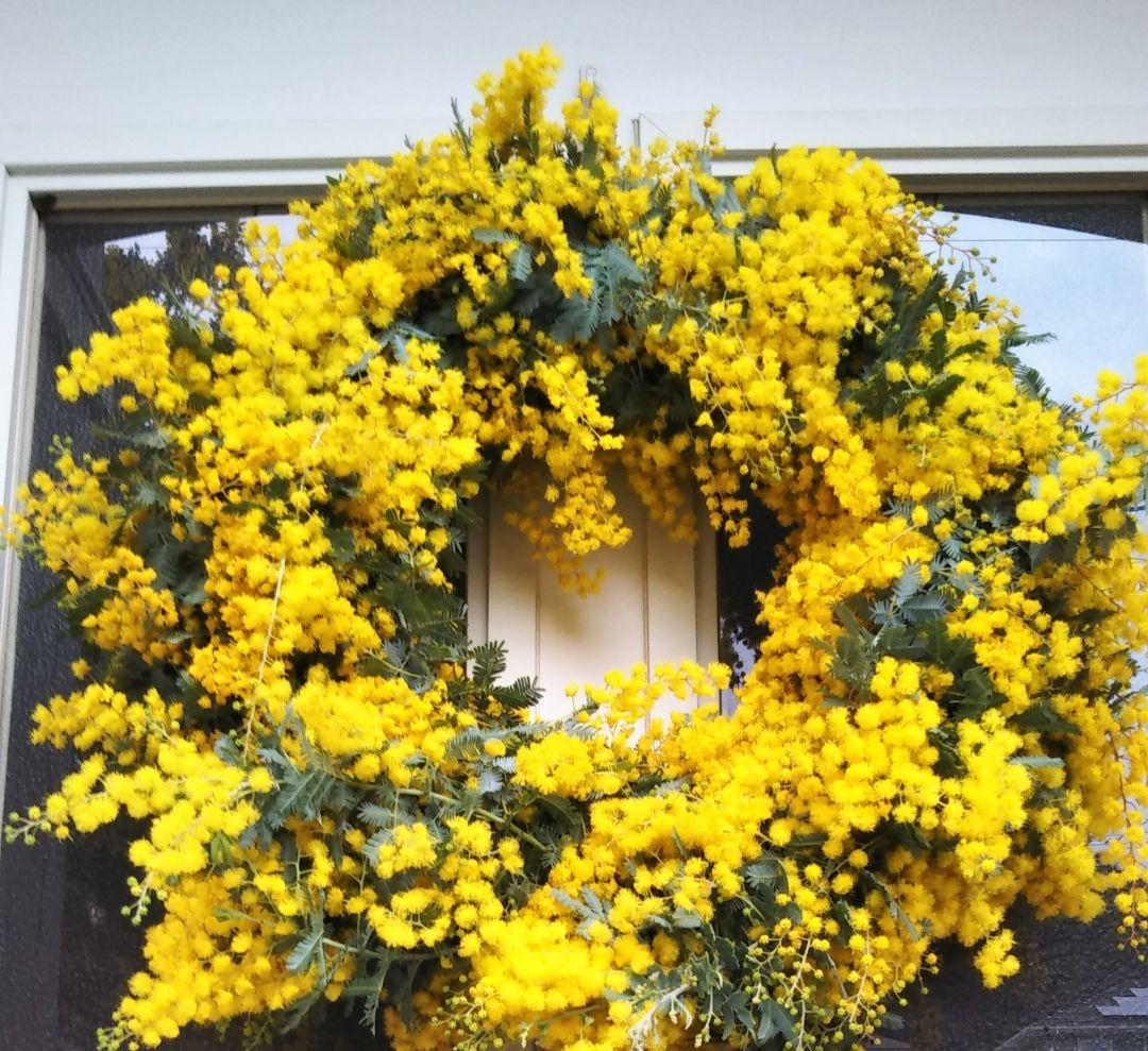 R&Bページ　☘ミモザフレッシュスワッグ・リース☘　②・③