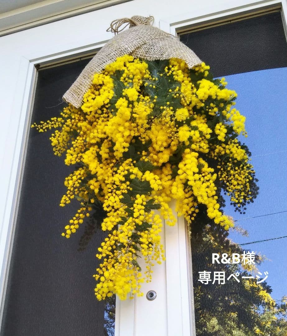 R&Bページ　☘ミモザフレッシュスワッグ・リース☘　②・③