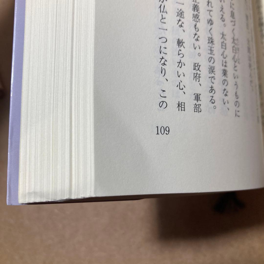 信仰と解脱 上巻 下巻　2冊　日向美則 著