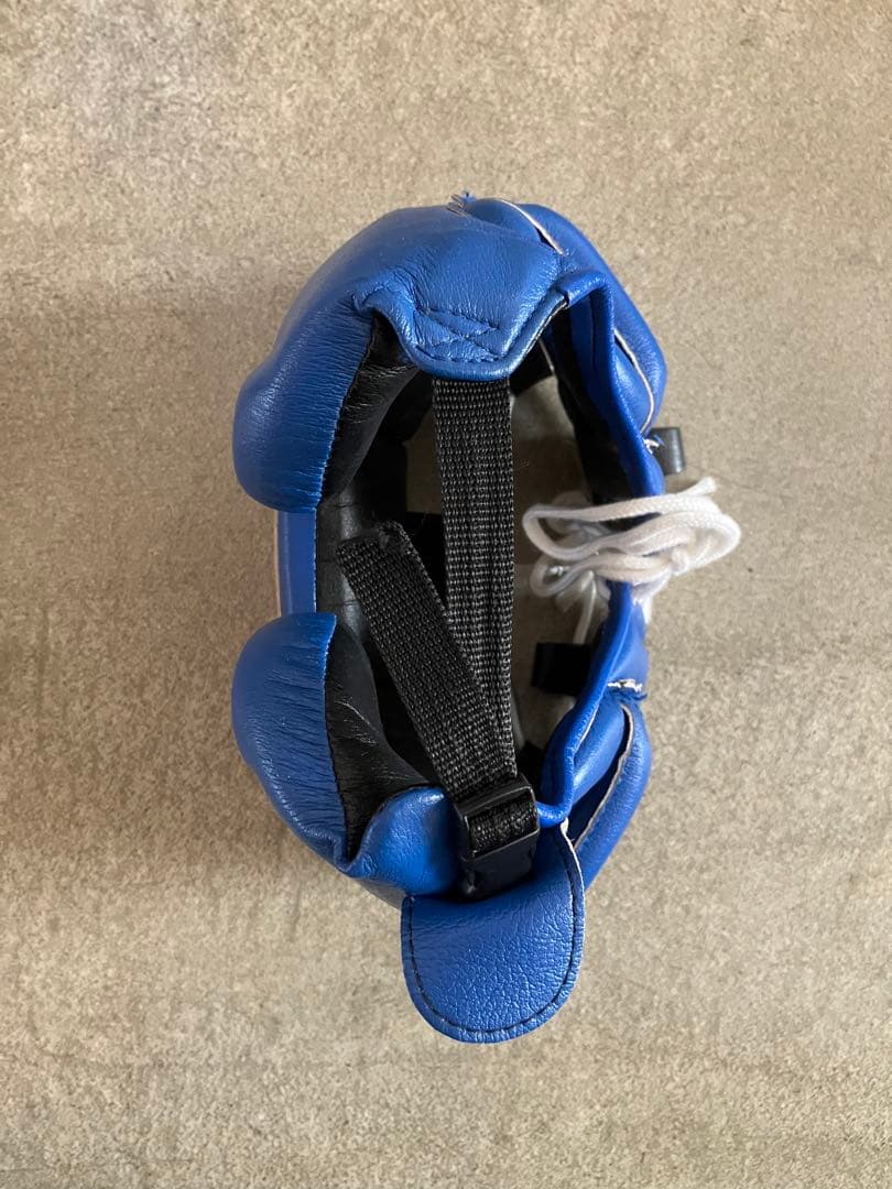 Winning ヘッドギア フルフェイスタイプ ブルー L FG-2900