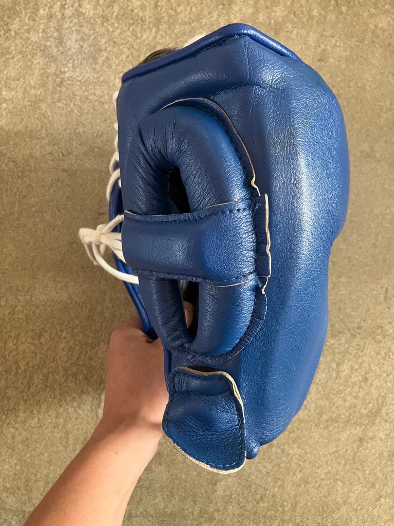 Winning ヘッドギア フルフェイスタイプ ブルー L FG-2900