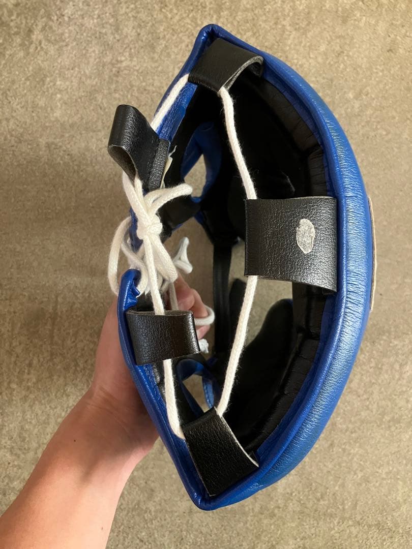 Winning ヘッドギア フルフェイスタイプ ブルー L FG-2900