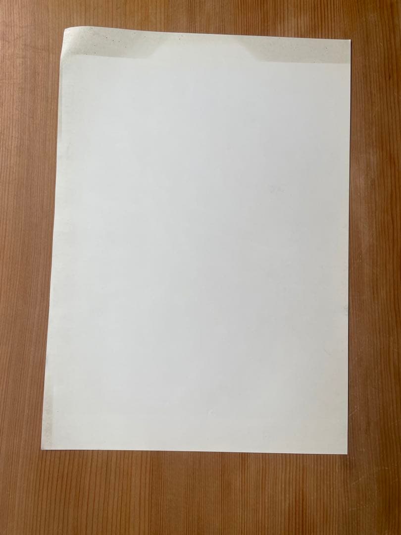 い*と様 希少　ニチブツ　テラフォース　アーケード　基板　パンフレット付き