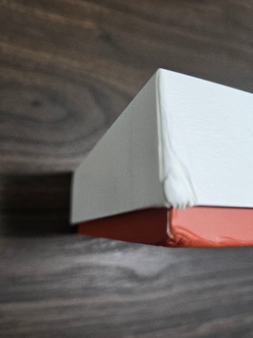 BOOX Palma 2 Pro 本体とカバー付き