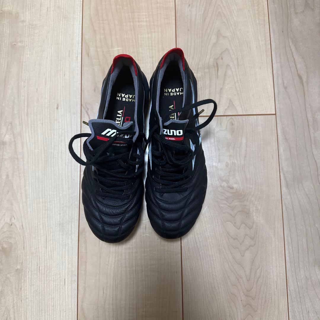 モレリアネオ4 23.5cm