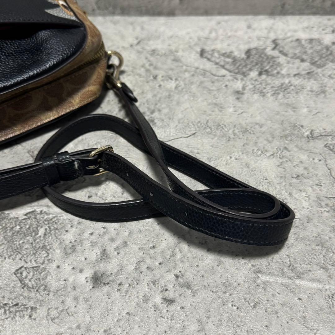 極美品✨️コーチ カメラバッグ ショルダー ディズニー とんすけ レザー 黒