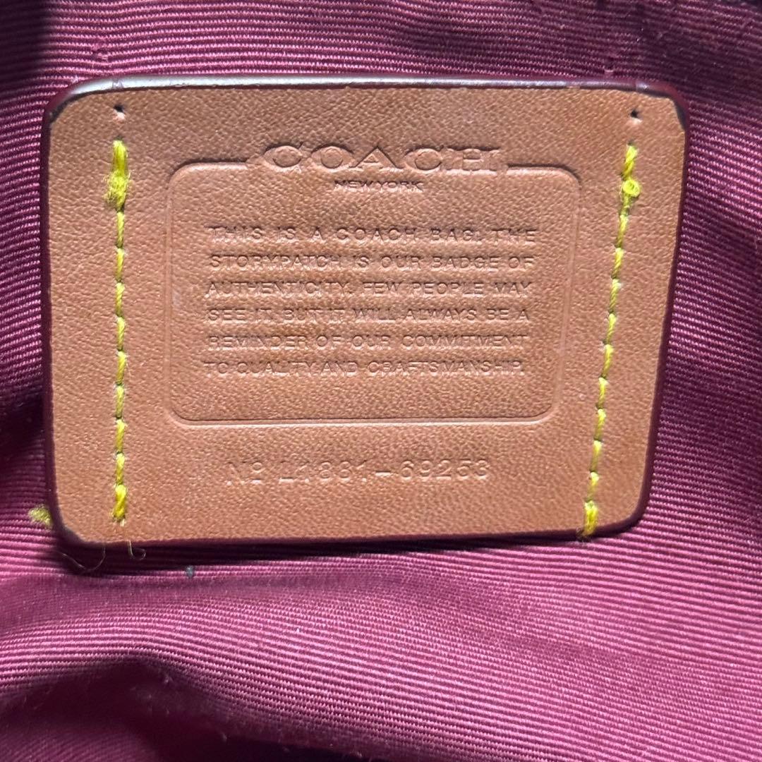 極美品✨️コーチ カメラバッグ ショルダー ディズニー とんすけ レザー 黒