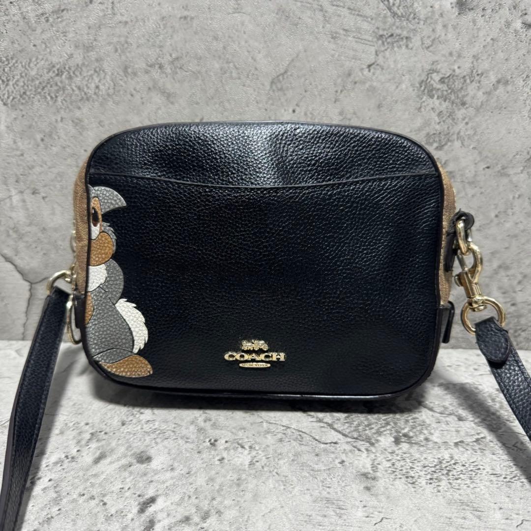 極美品✨️コーチ カメラバッグ ショルダー ディズニー とんすけ レザー 黒