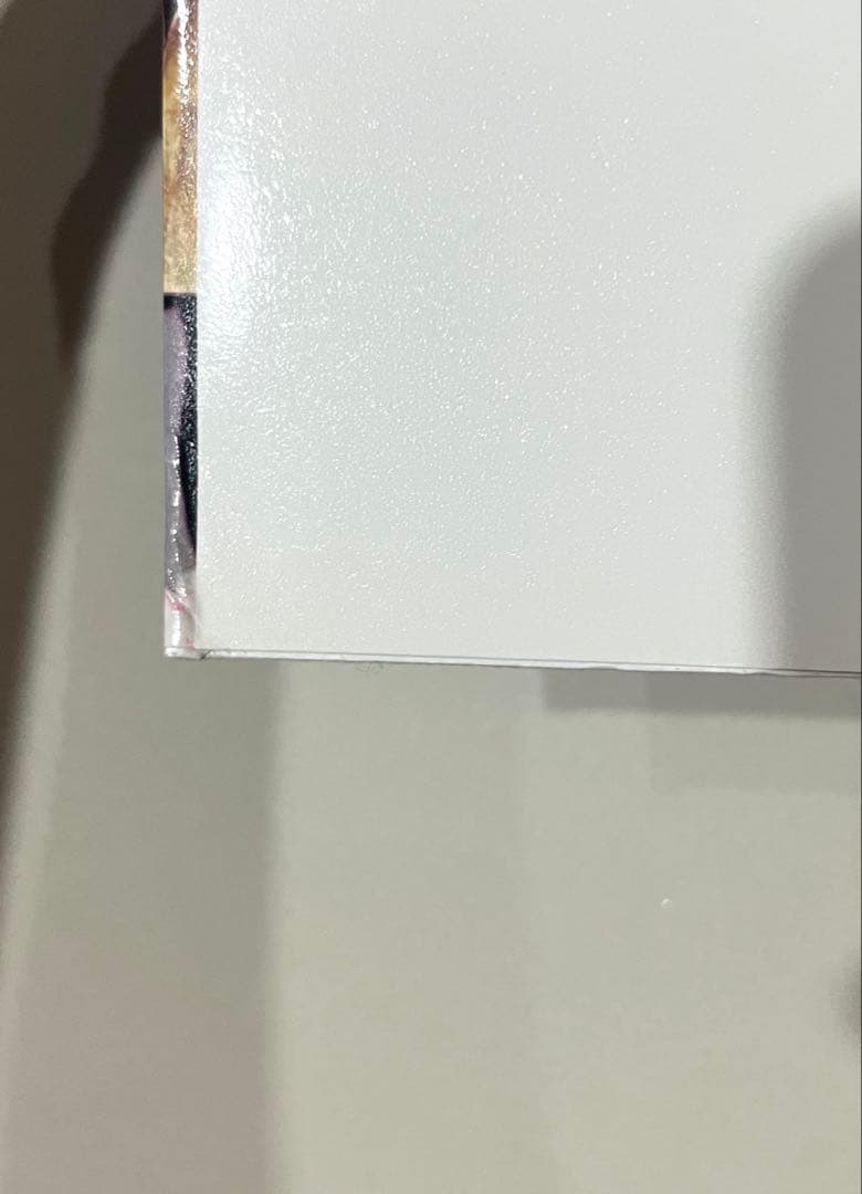 WOO ! JUERGEN TELLER ユルゲン・テラー 写真集