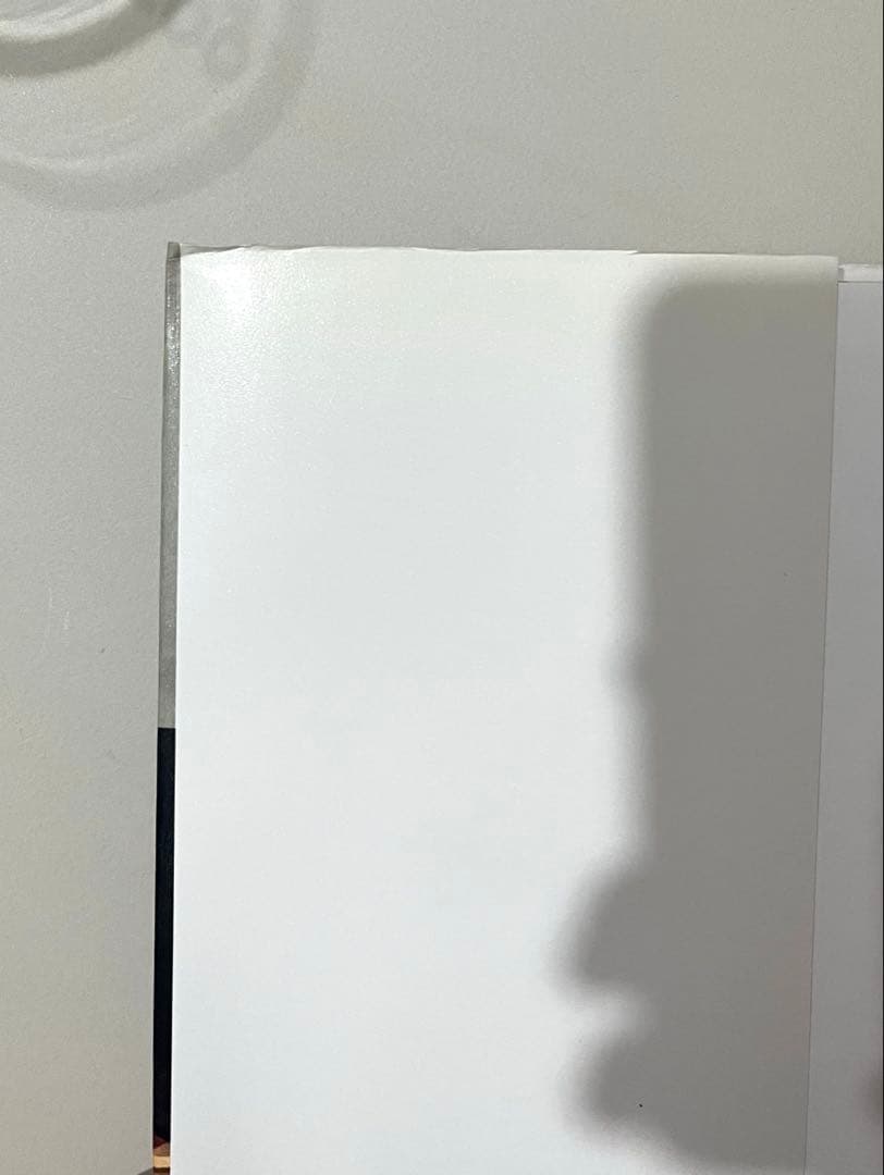 WOO ! JUERGEN TELLER ユルゲン・テラー 写真集