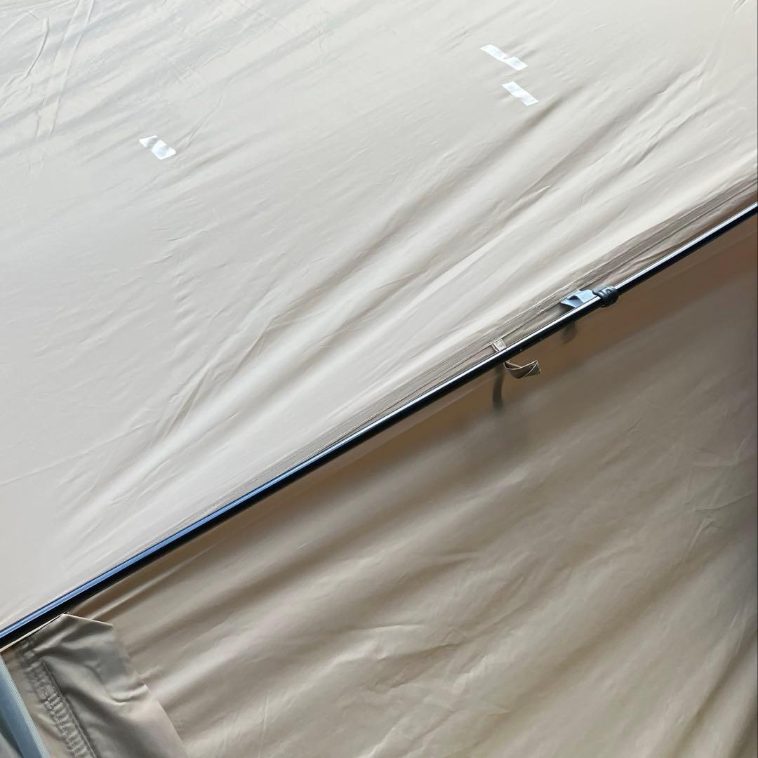 【訳あり】サバティカル ギリア sabbatical gilia 値段交渉可