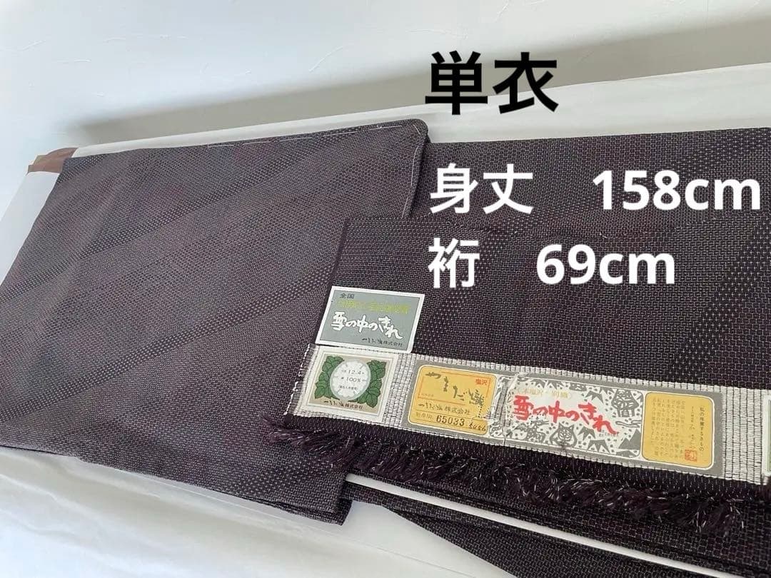 未使用　単衣　本塩沢　やまだ織　証紙有　裄丈69cm　亀甲絣　裄長さん　お召し