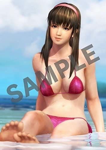 DEAD OR ALIVE5 LAST ROUND ps4 お風呂ポスター全8種