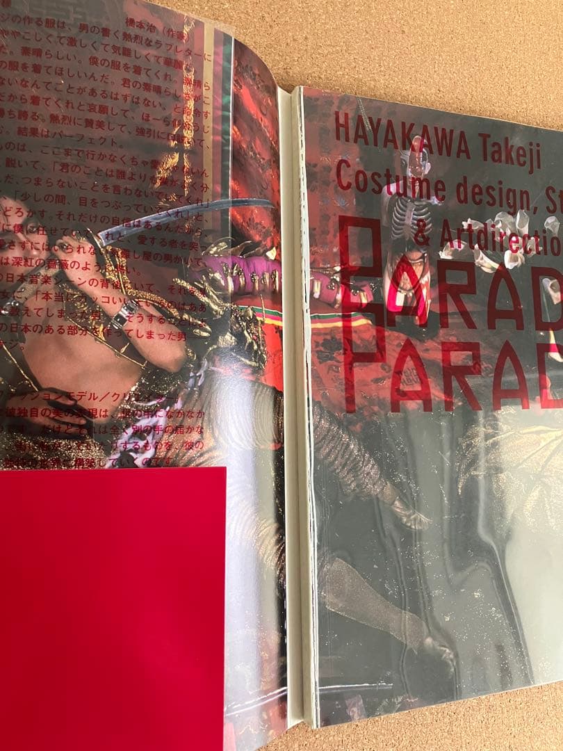 【再値下げ】沢田研二 PARADIS 早川タケジ