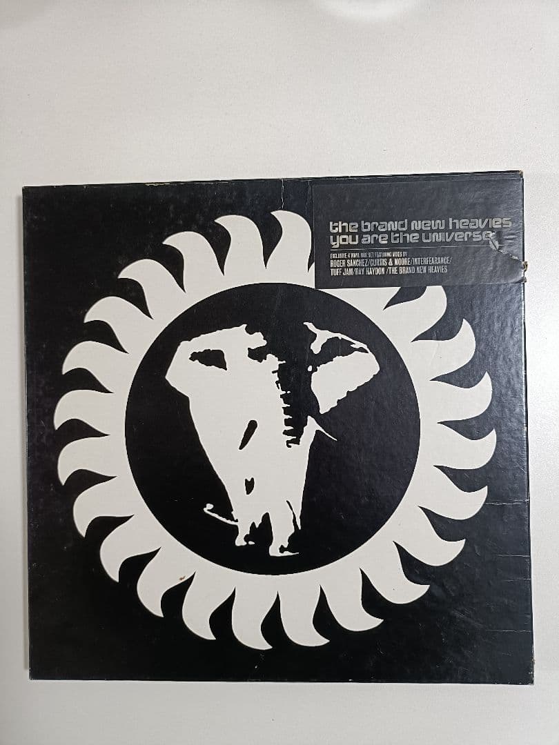 洋楽 Brand New Heavies You Are The Universe