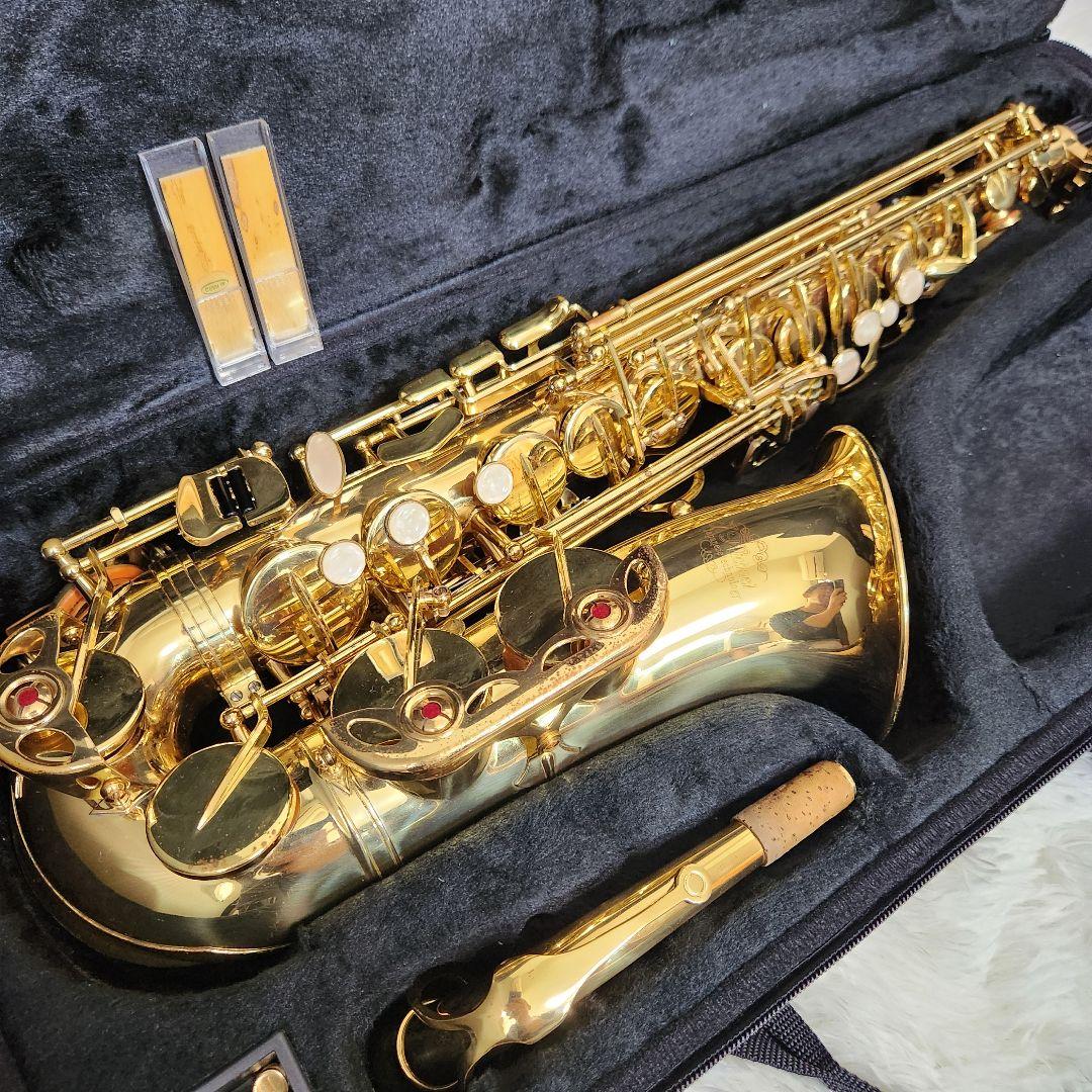 【動作確認済み】ジェイマイケル　アルトサックス AL-500 初心者向け
