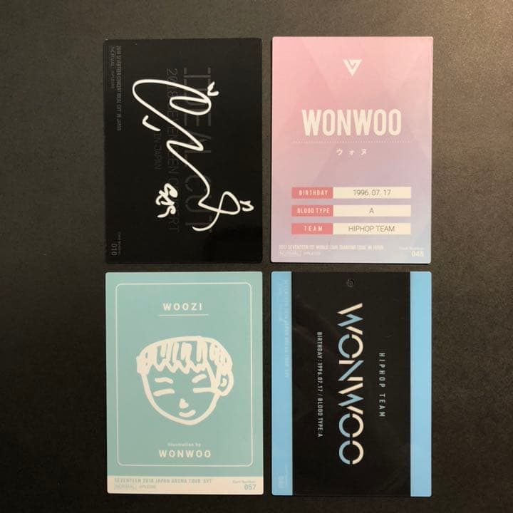 SEVENTEEN セブチ　ウォヌ　トレカ　セット
