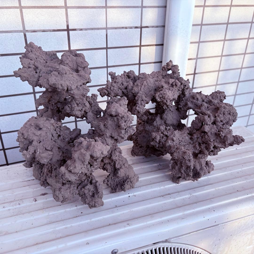 人工ライブロック　2 sets ver