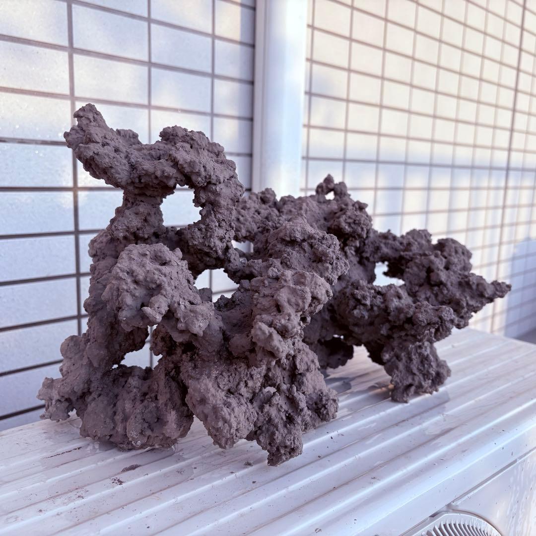 人工ライブロック　2 sets ver