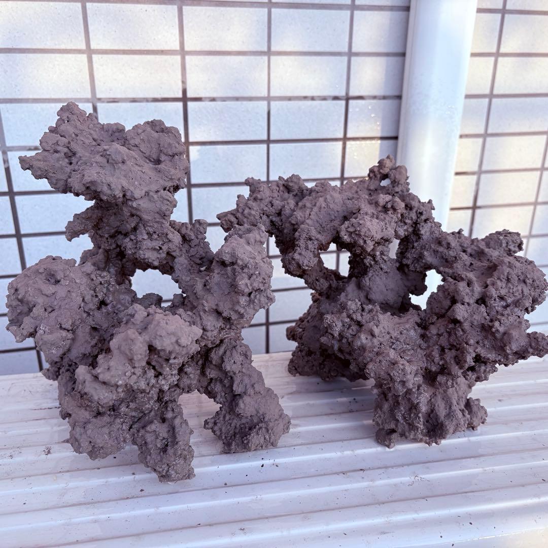 人工ライブロック　2 sets ver