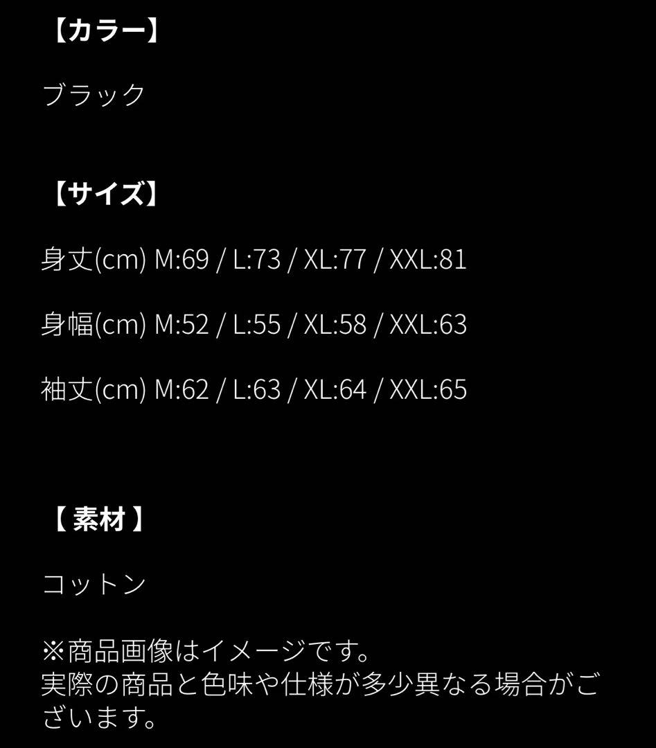 BLARE FEST ブレアフェス 2026 ロンT XLサイズ