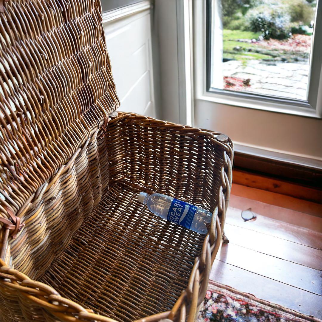 天然皮付き籐アラログ　インテリアバスケット　蓋付きバスケット　大きいかご