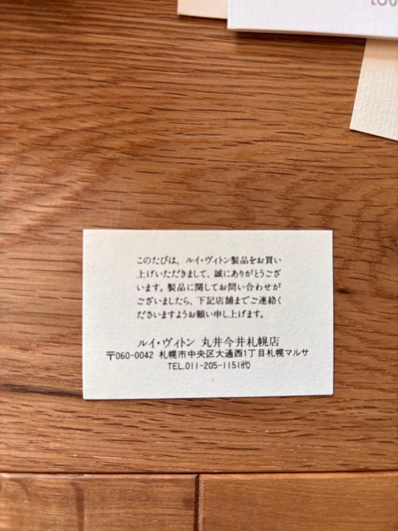 Louis Vuitton マルチカラー　ジッピー　パース