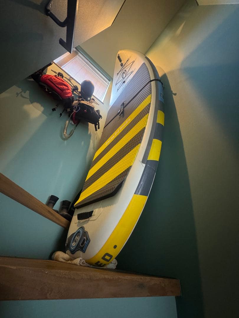 ぺぺさん様　BADFISH SHRED（バッドフ イッシュ）