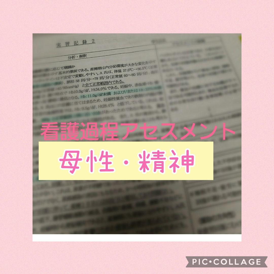 看護実習　看護過程　アセスメント　看護目標　看護技術　手順書　看護学生　国家試験