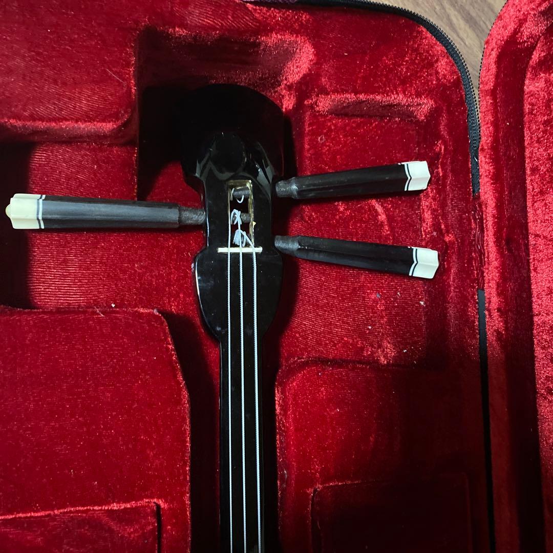 蛇皮三線本体 ケース付き