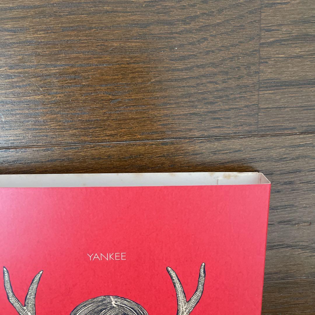 【無影さま専用】YANKEE 米津玄師 画集 初回限定盤 ファイル付き