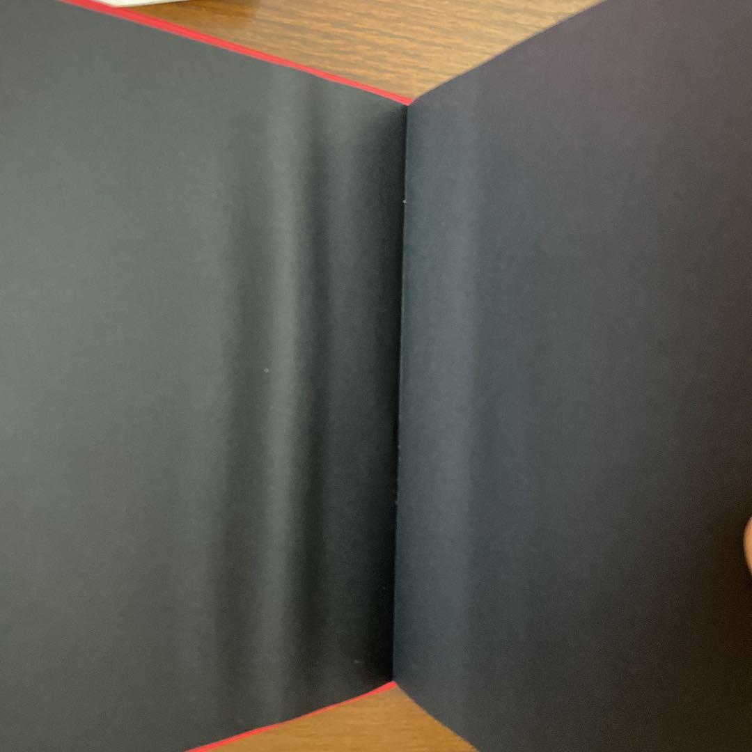 【無影さま専用】YANKEE 米津玄師 画集 初回限定盤 ファイル付き