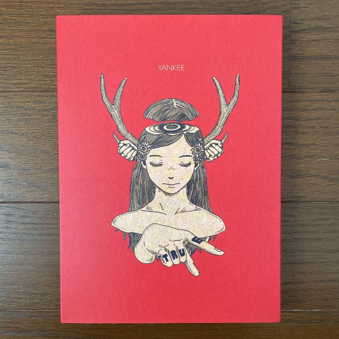 【無影さま専用】YANKEE 米津玄師 画集 初回限定盤 ファイル付き