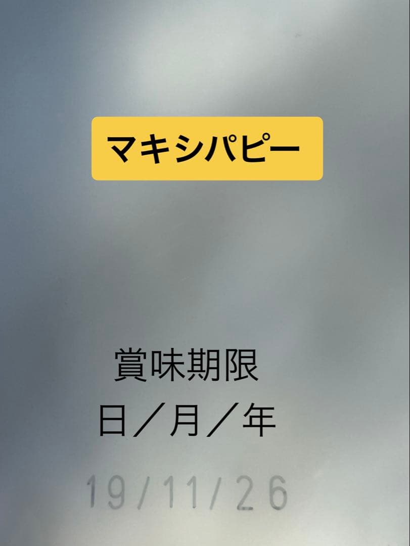 ロイヤルカナン マキシパピー16kg