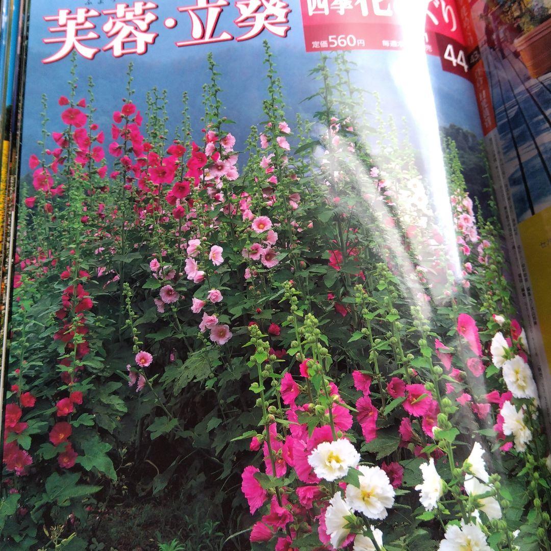 週間四季花めぐり❤️全巻５０冊❤️期間限定3月１８日まで。