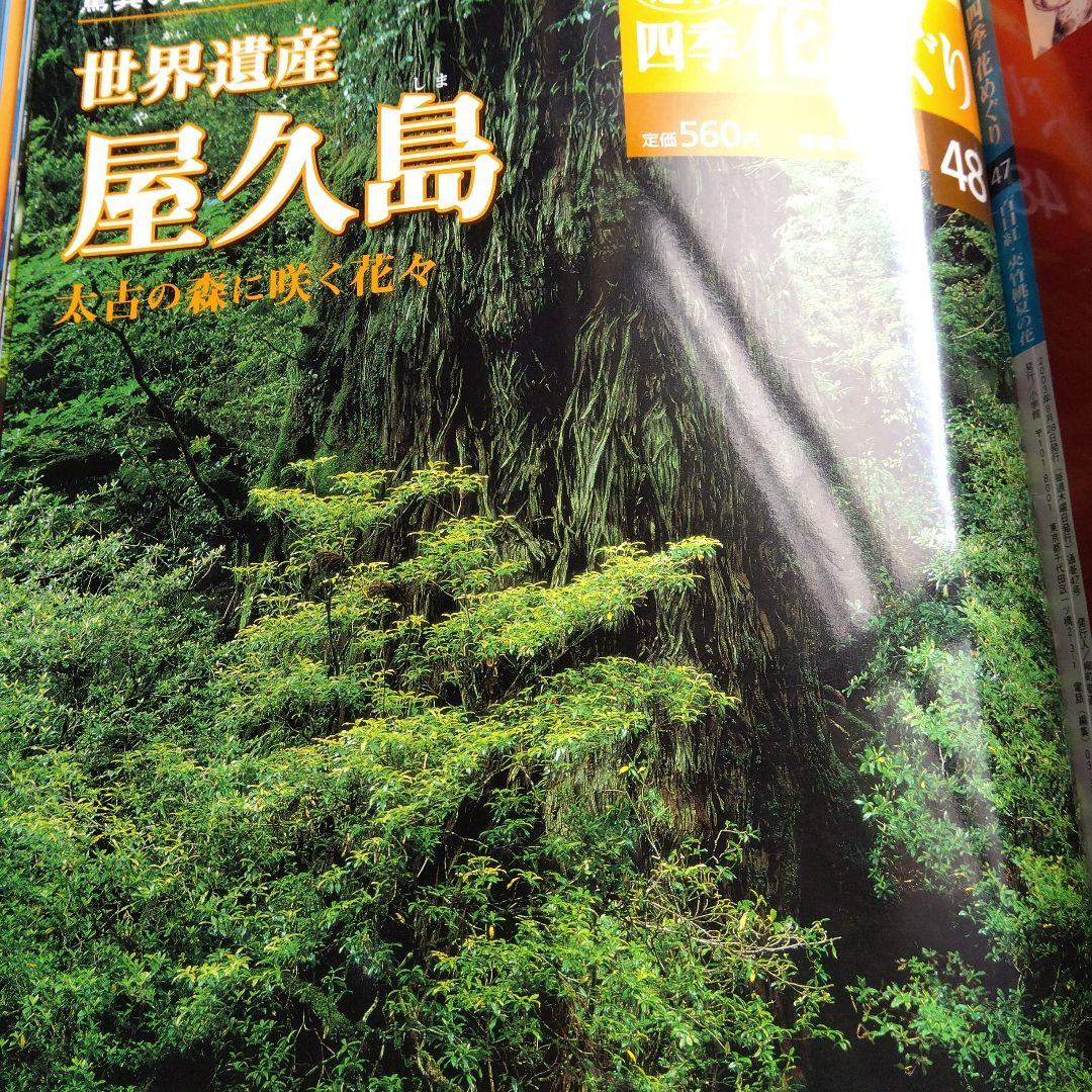 週間四季花めぐり❤️全巻５０冊❤️期間限定3月１８日まで。