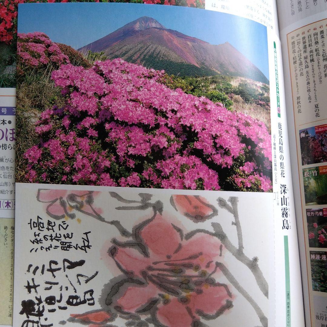 週間四季花めぐり❤️全巻５０冊❤️期間限定3月１８日まで。