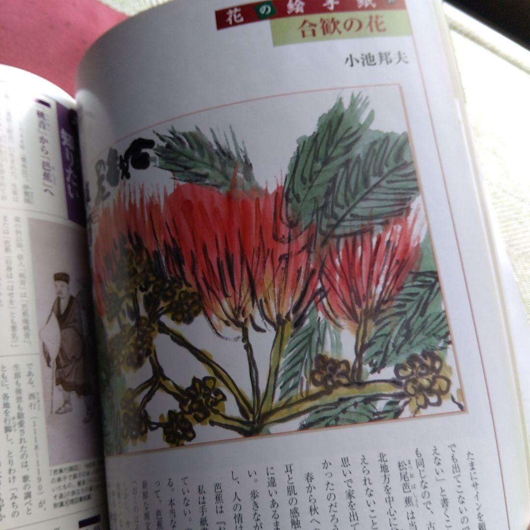 週間四季花めぐり❤️全巻５０冊❤️期間限定3月１８日まで。