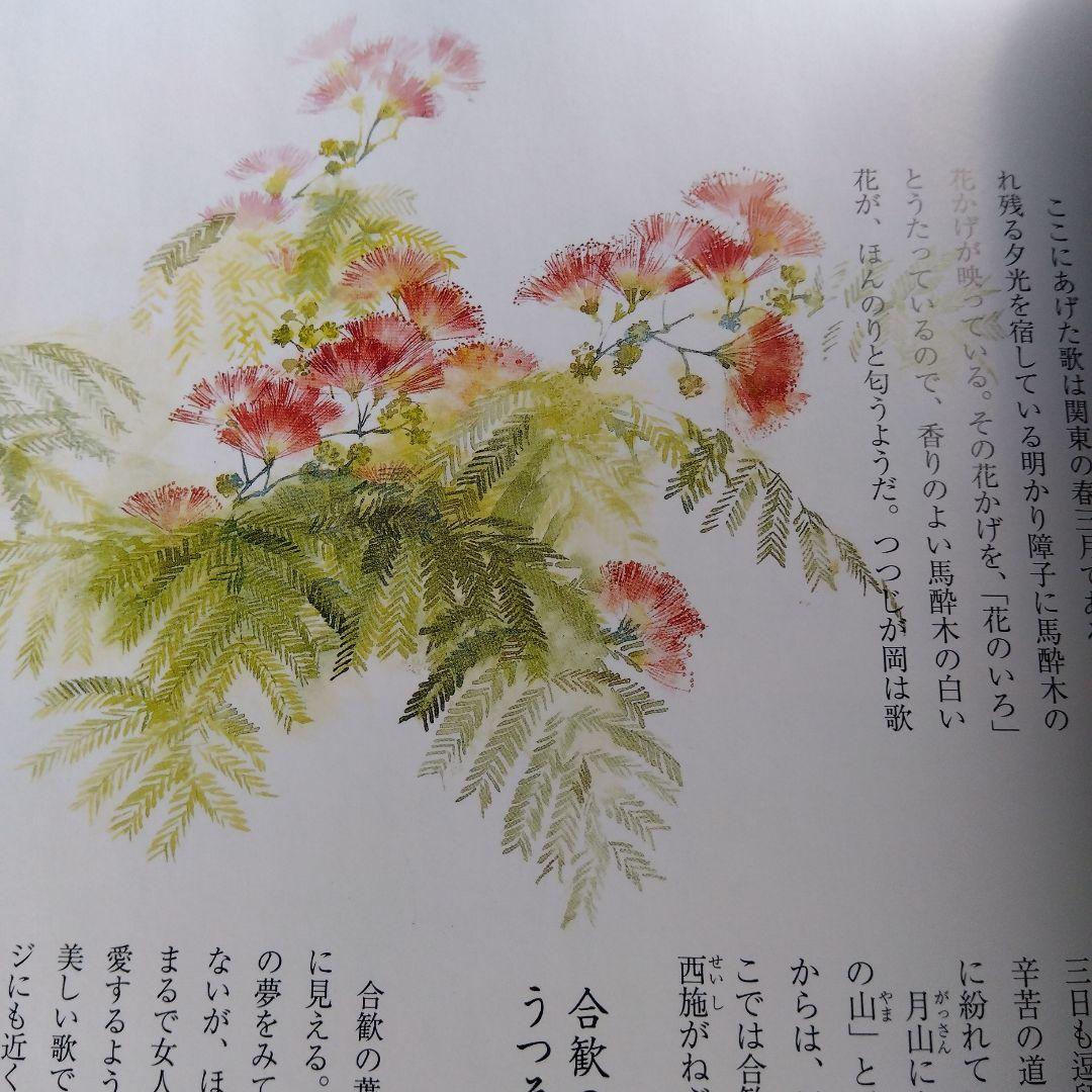 週間四季花めぐり❤️全巻５０冊❤️期間限定3月１８日まで。