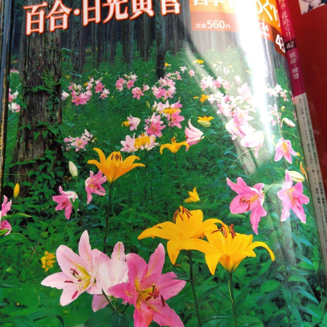 週間四季花めぐり❤️全巻５０冊❤️期間限定3月１８日まで。