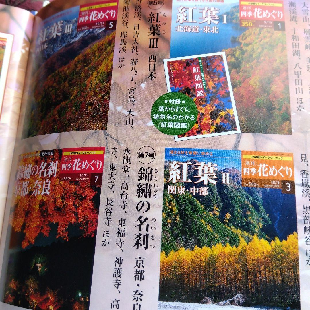 週間四季花めぐり❤️全巻５０冊❤️期間限定3月１８日まで。