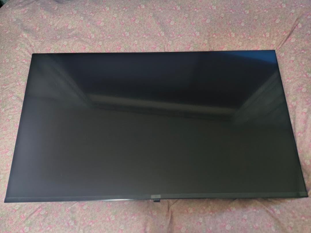 パンラム 50型 FPD 4K MiniLED 量子ドット チューナーレス