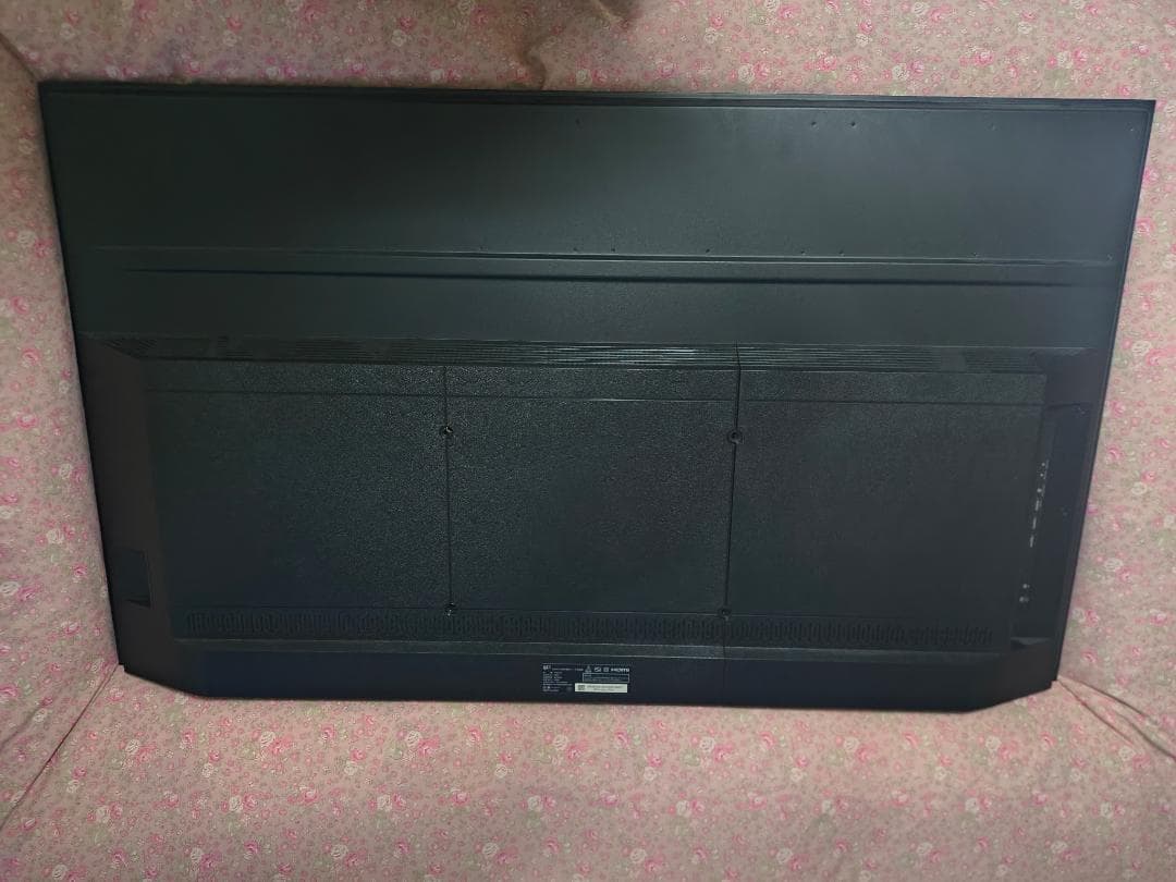 パンラム 50型 FPD 4K MiniLED 量子ドット チューナーレス