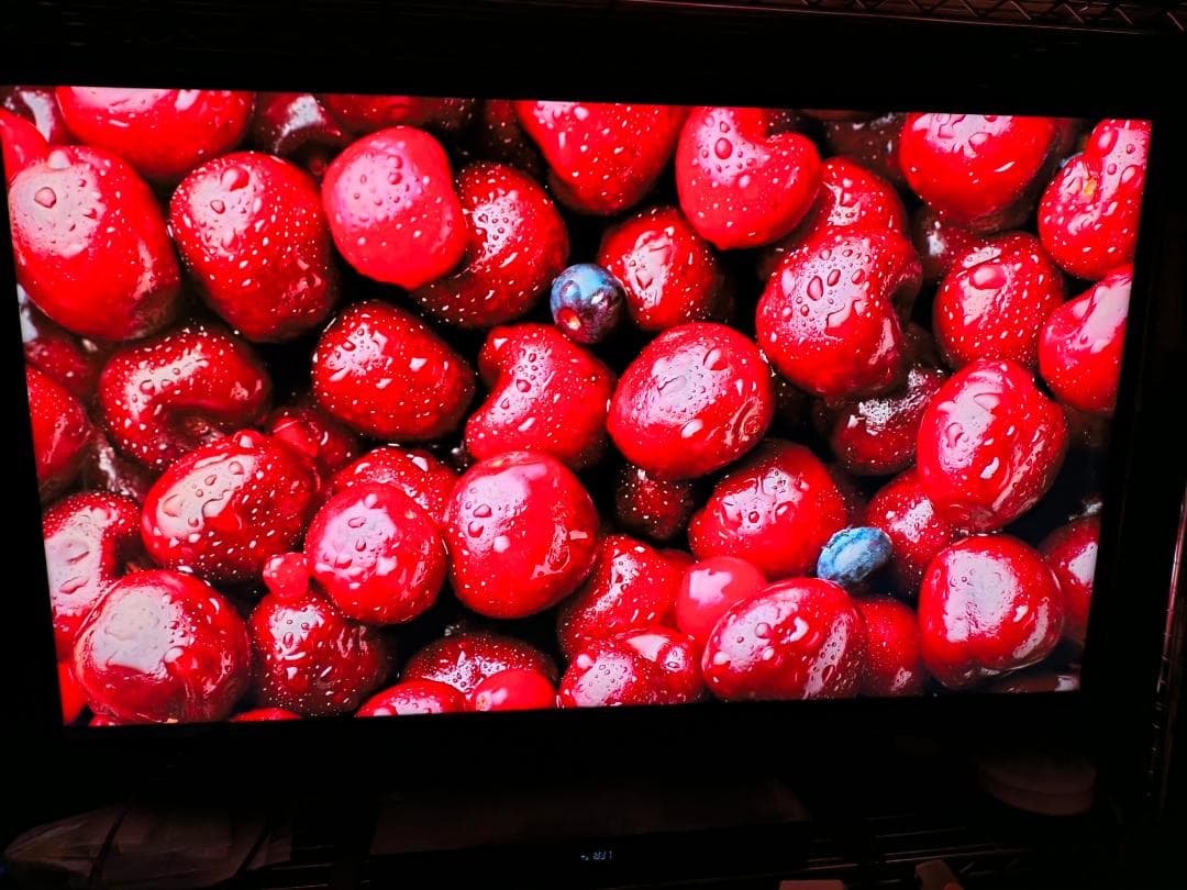 パンラム 50型 FPD 4K MiniLED 量子ドット チューナーレス