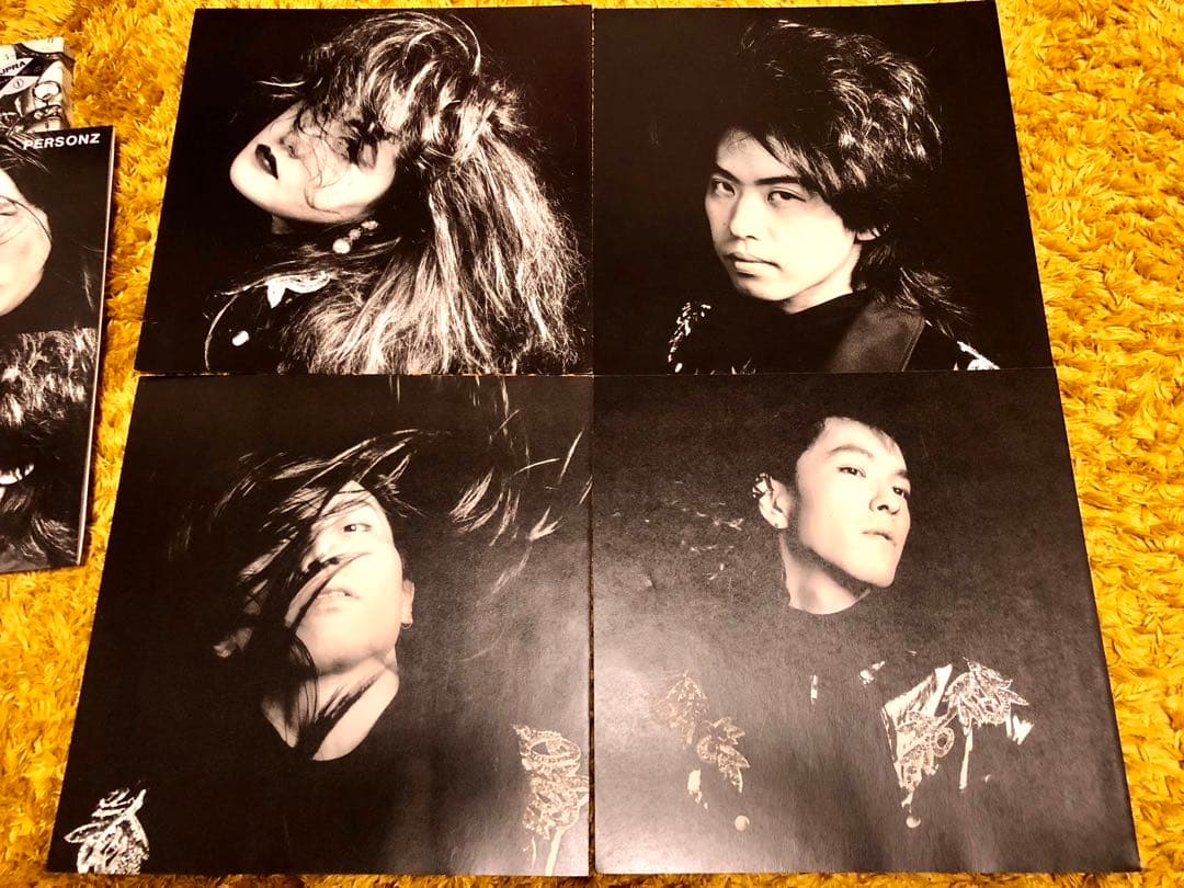 パーソンズ ドリーマーズ・オンリー LP レコード