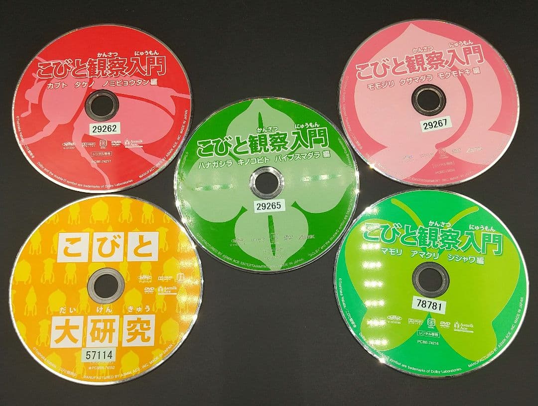 「こびと観察入門 全9巻+こびと大研究 全10巻セット」■DVD