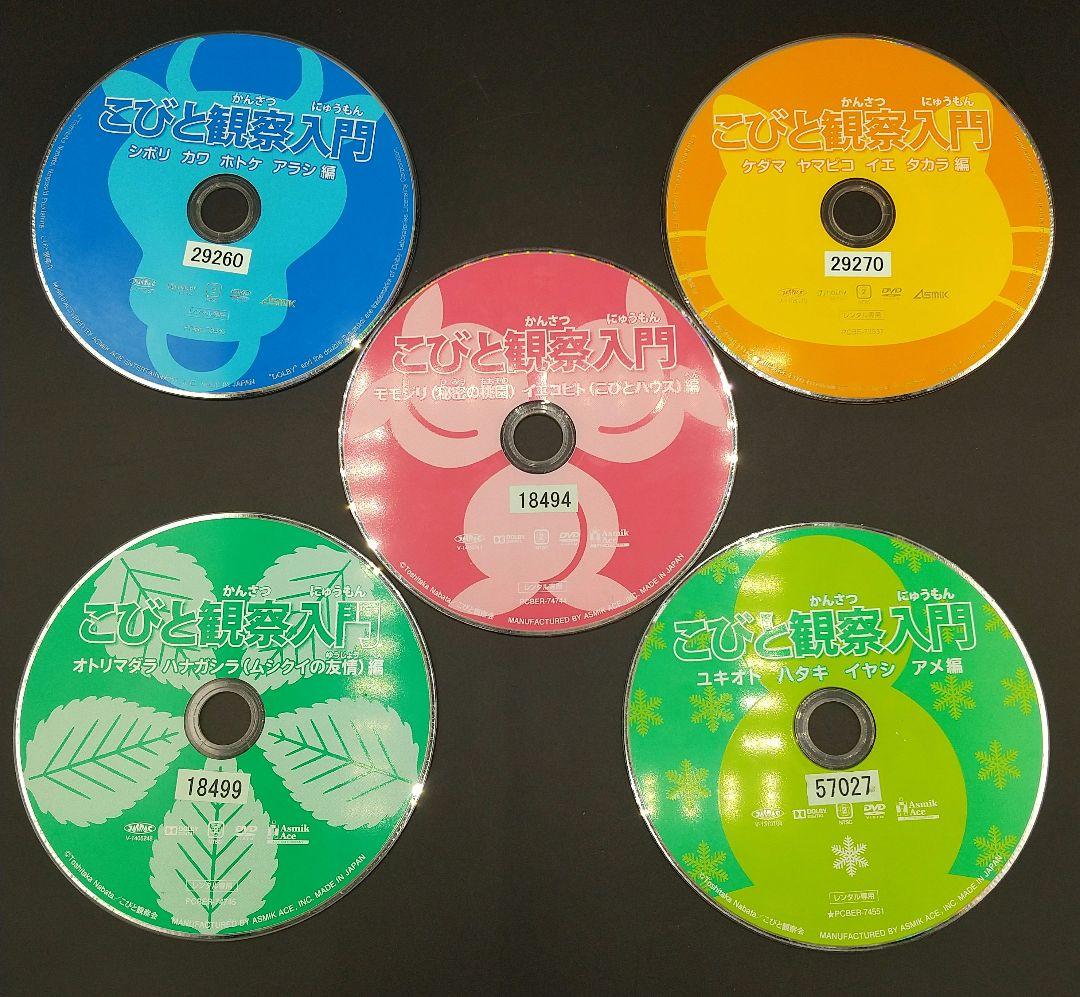 「こびと観察入門 全9巻+こびと大研究 全10巻セット」■DVD