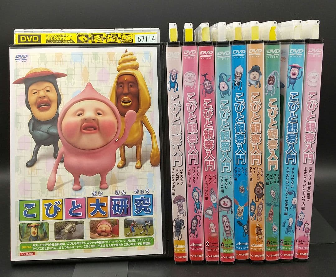 「こびと観察入門 全9巻+こびと大研究 全10巻セット」■DVD