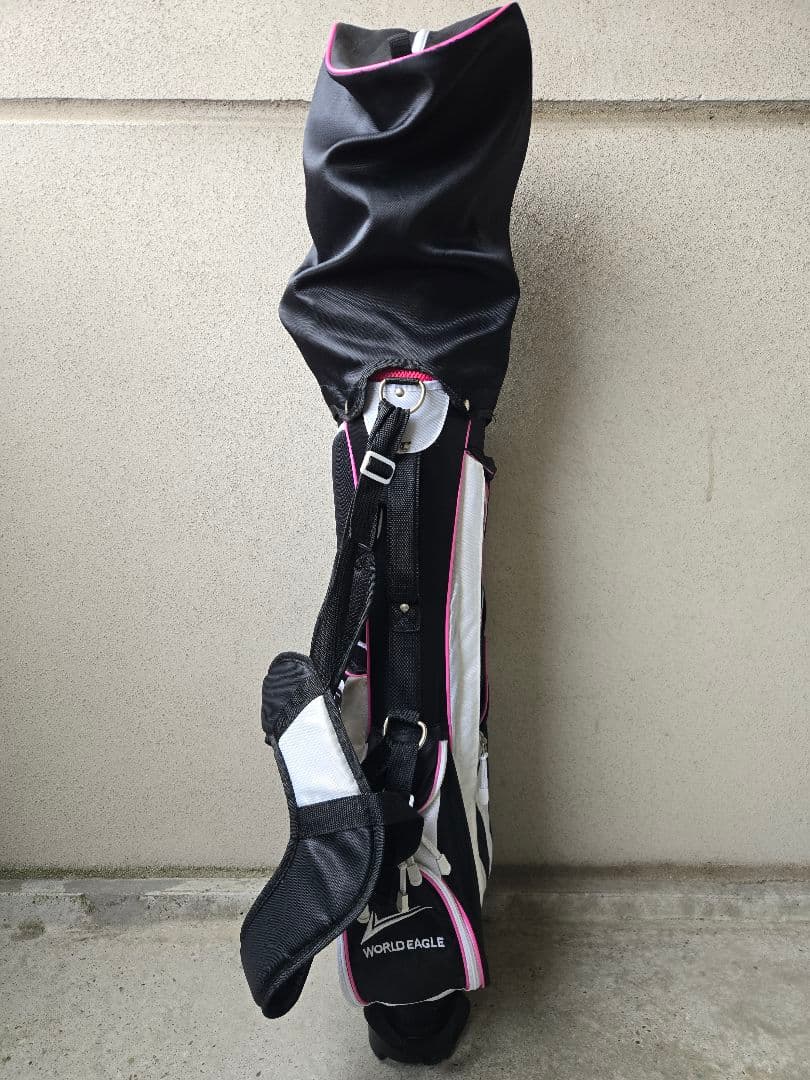 ワールドイーグル　FL-01 V2　レディースゴルフ10本セット　FLEX-L