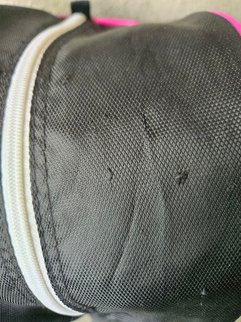 ワールドイーグル　FL-01 V2　レディースゴルフ10本セット　FLEX-L